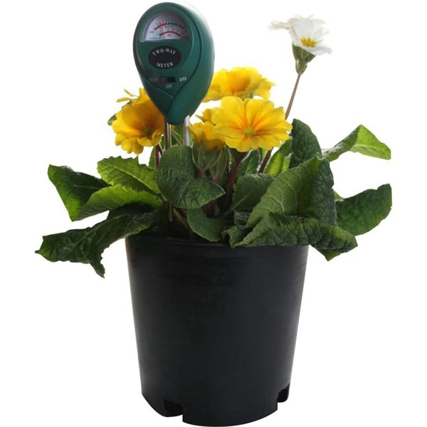 Moisture/pH Meter, 2-Way