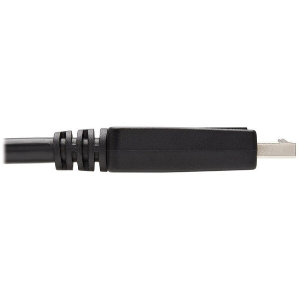 DisplayPort Cable, DVI, Adapter, M/M, 10ft