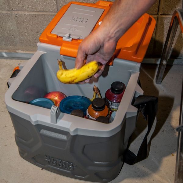 Tradesman Proâ¢ Tough Box Cooler, 17-Quart