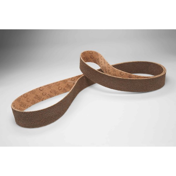 Surface Condition Belt, 1/2