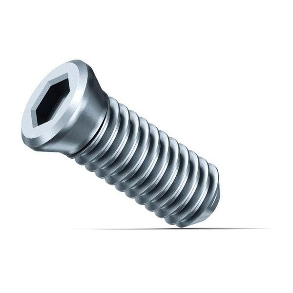 Screws, Steel, 4 3/4