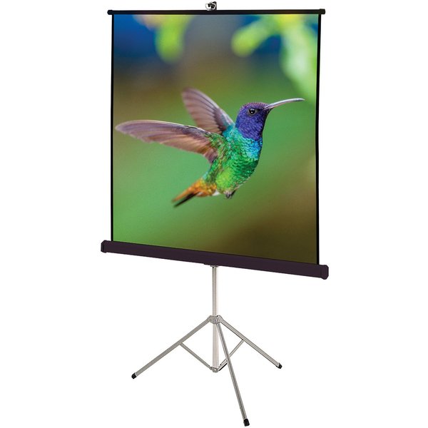 Portable Tripod Projection Screen