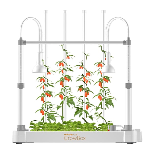 GrowBox Hydroponic Growing System