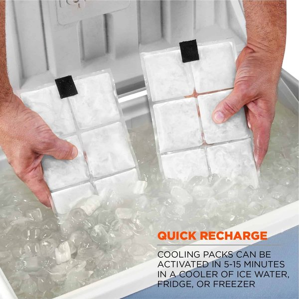 Cooling Vest, Cold Pack Inserts, Zipper