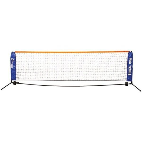 Mini Tennis Net, 10ft Wx3ft H, w/Case