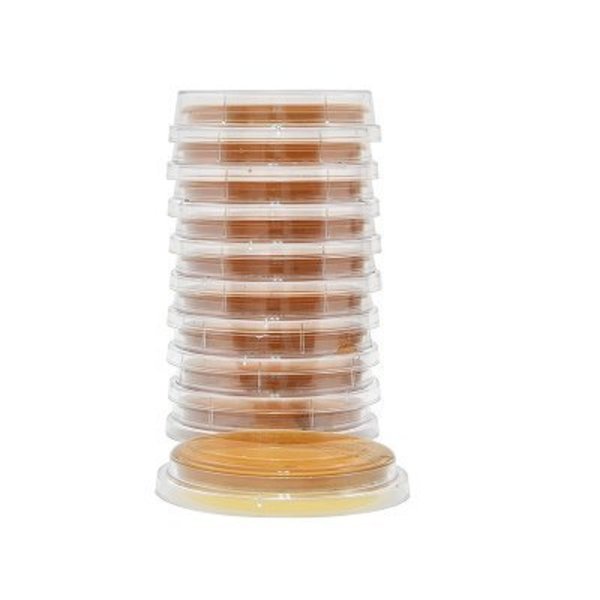 Malt Extract Agar, Lecithin and Twe, PK 10