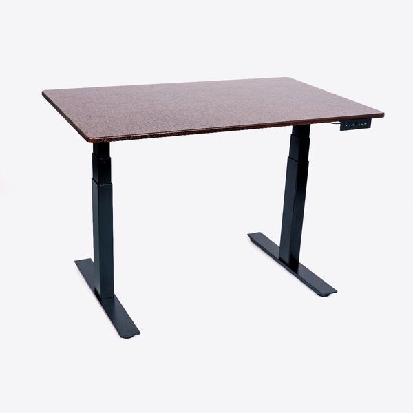 Dual Motor Electric Stand Up Desk, 3-Stage, 48