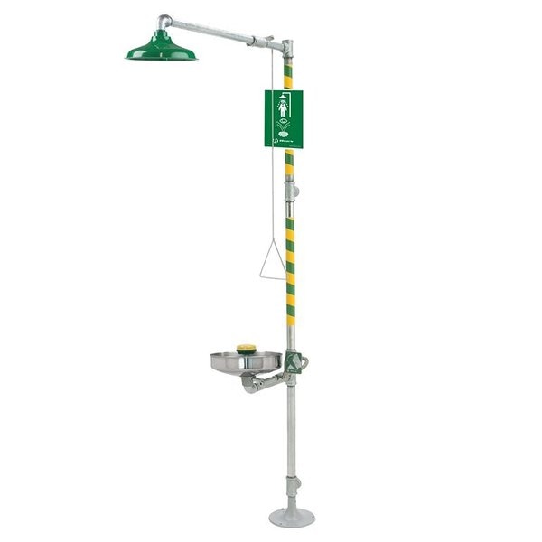 Combination Shower and Eye/Face Wash