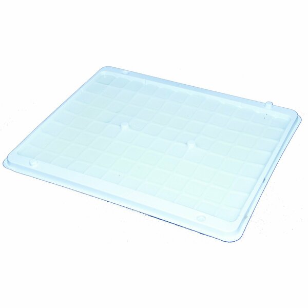 Glue Trap, Elephant Size, 10.5x12.25