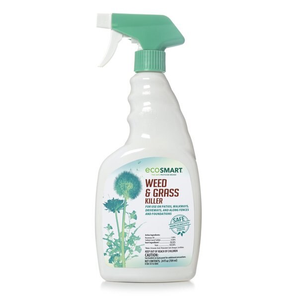 Weed and Grass Killer 24 oz., PK2