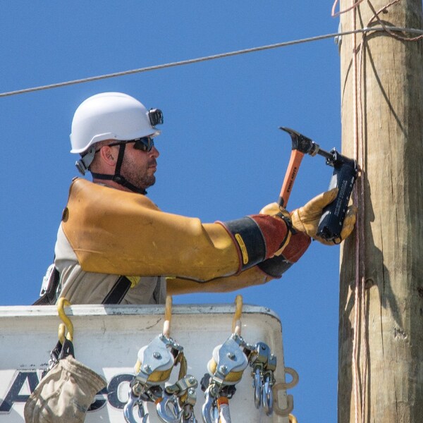 Utility Staple Starter