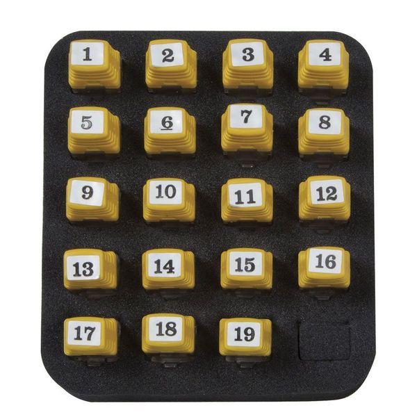 Carrying Case for ScoutÂ® Pro 3 Tester and Locator Remotes