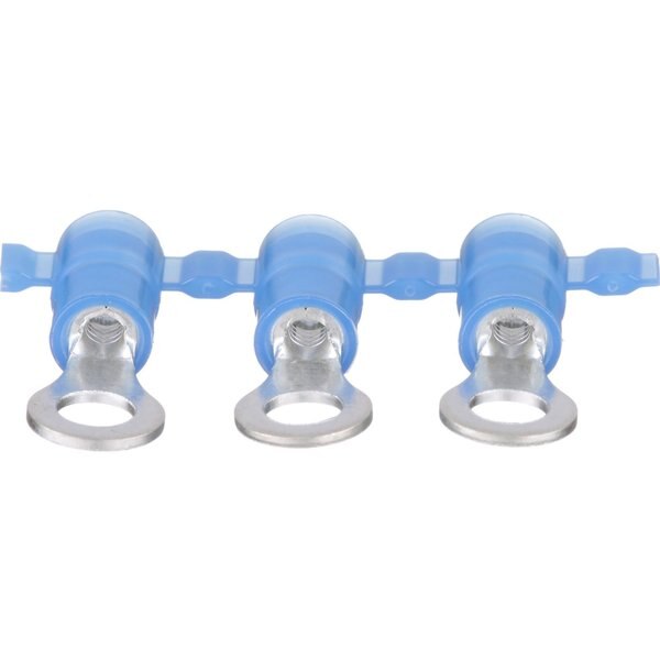 Ring, Funnel, Nylon, 16-14 Awg, #8, PK3000