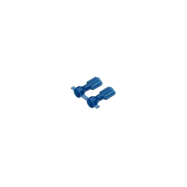 Disc, F, 250x.032