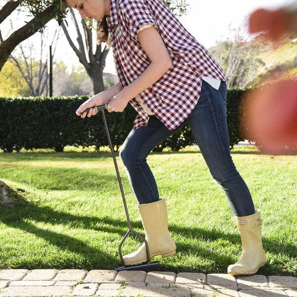 Step Edger