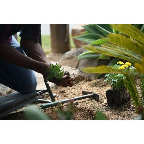 Terra Mattock