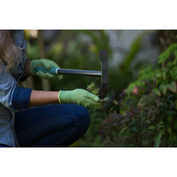 Terra Weeder