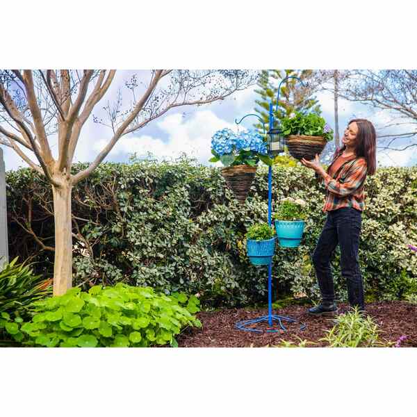 Yard Tree