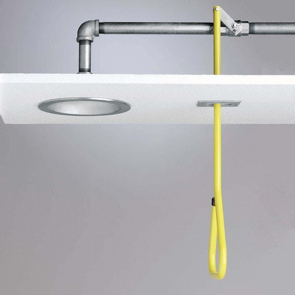 Emergency Shower, Flush Ceiling, 20 gpm