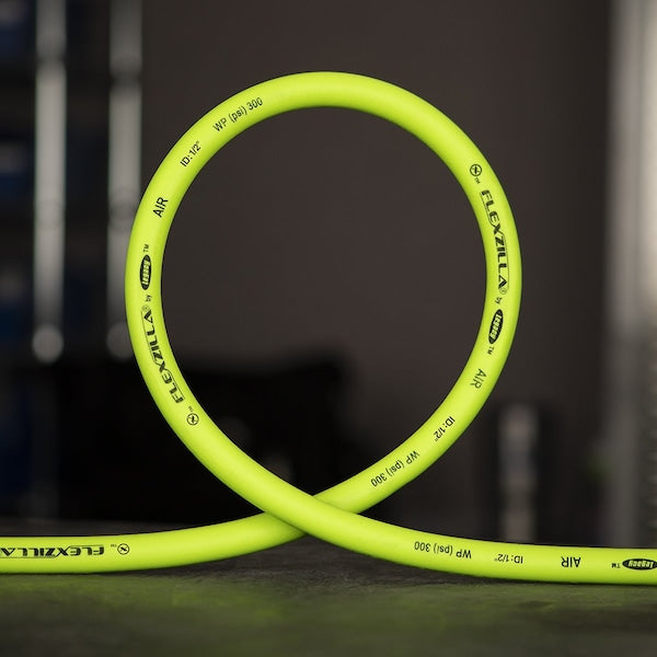 Whip Hose with Swivel, 1/2