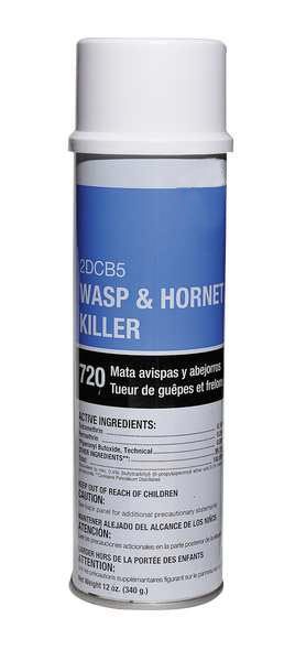 20 oz. Aerosol Indoor/Outdoor Wasp and Hornet Killer