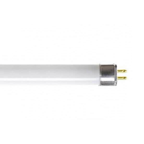 Fluorescent Linear Lamp, T5, Cool, 4100K