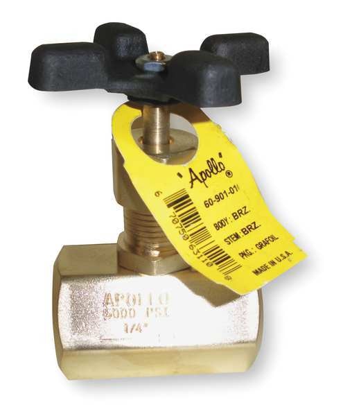 Globe Valve, 1/2 In., FNPT, Brass