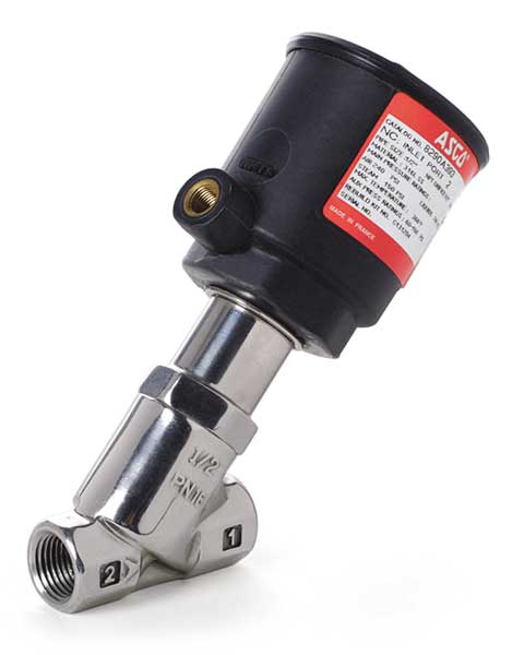 RedHat Angle Body Piston Valve, Bronze, NC, 3/4 In