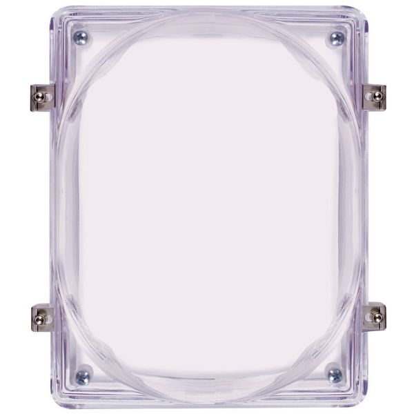Audible and Strobe Guard, Flush, 4inD