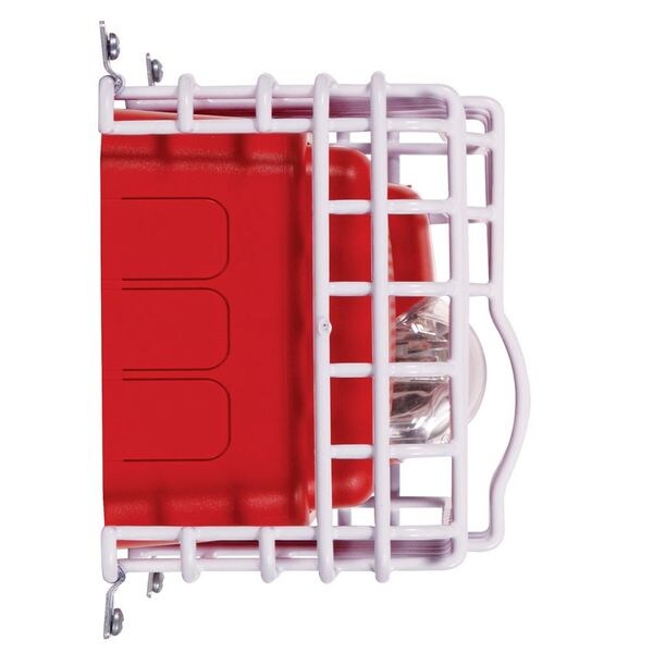 Audible/Strobe Guard, Steel Wire, Surface