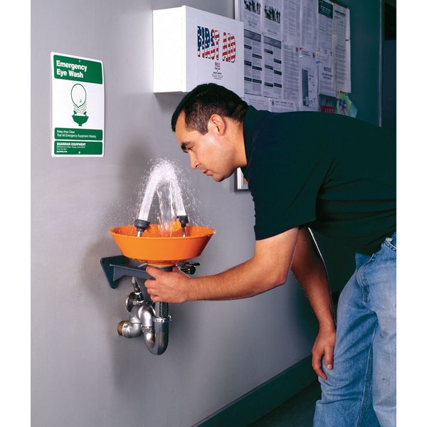 Wall Mounted Eyewash Station ABS Plastic