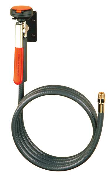Dual Head Drench Hose, Wall Mount, 8 ft.