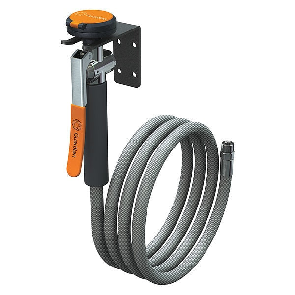 Single Head Drench Hose, Wall Mount, 8 ft.