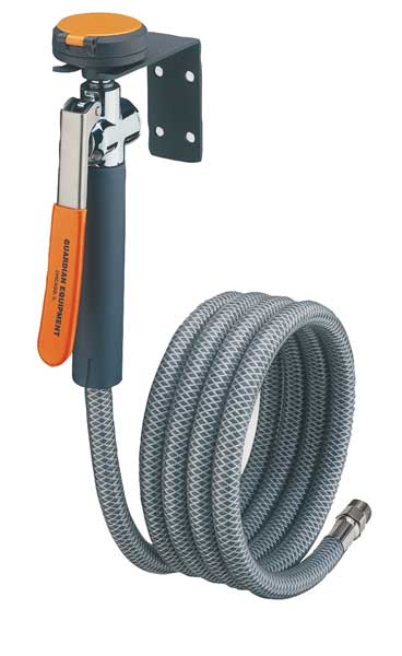Dual Head Drench Hose, Wall Mount, 8 ft.