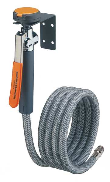 Single Head Drench Hose, Wall Mount, 8 ft.