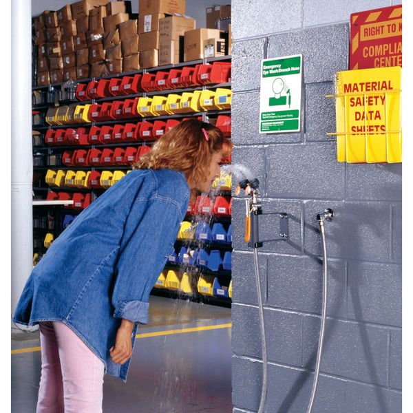 Dual Head Drench Hose, Wall Mount, 8 ft.