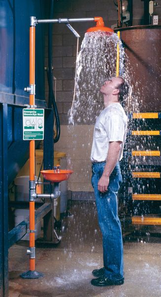 Drench Shower With Eyewash, Plastic