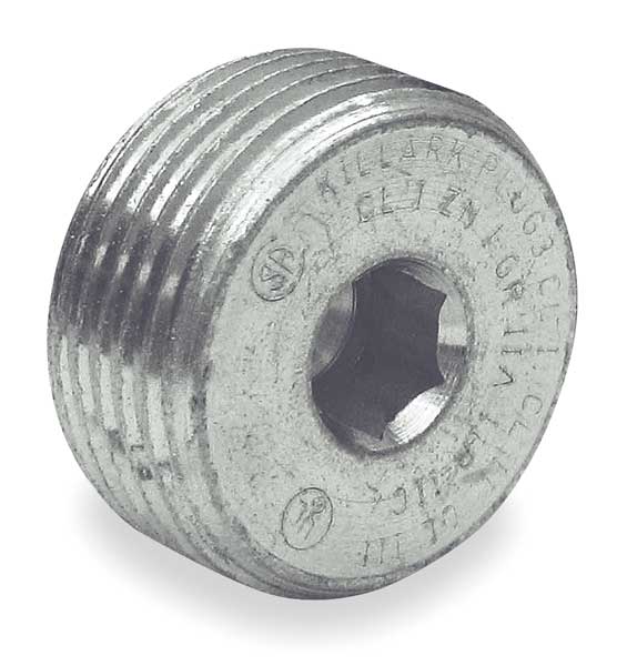 Plug, Recessed, 1 In