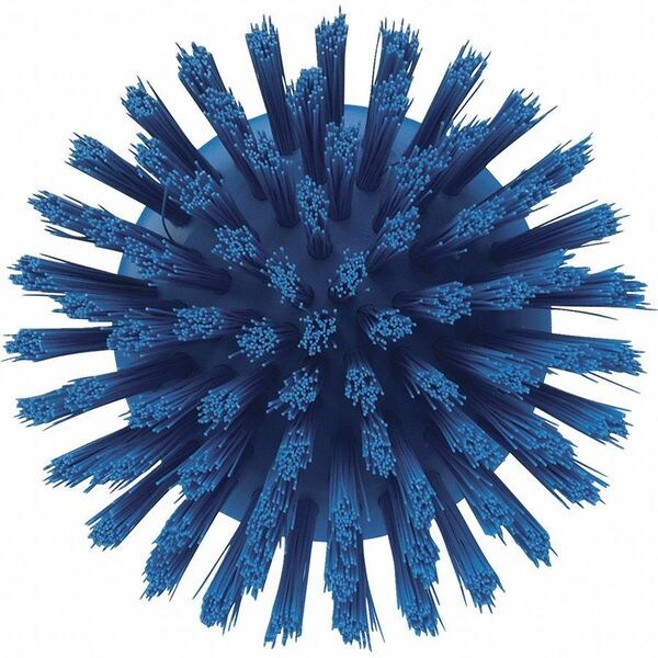 3 3/4 in W Scrub Brush, Stiff, 3 in L Handle, 3 3/4 in L Brush, Blue, Plastic, 5 in L Overall