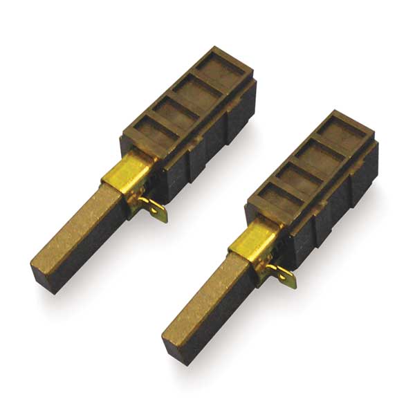 Replacement Brush Mechanism, 220V, PK2