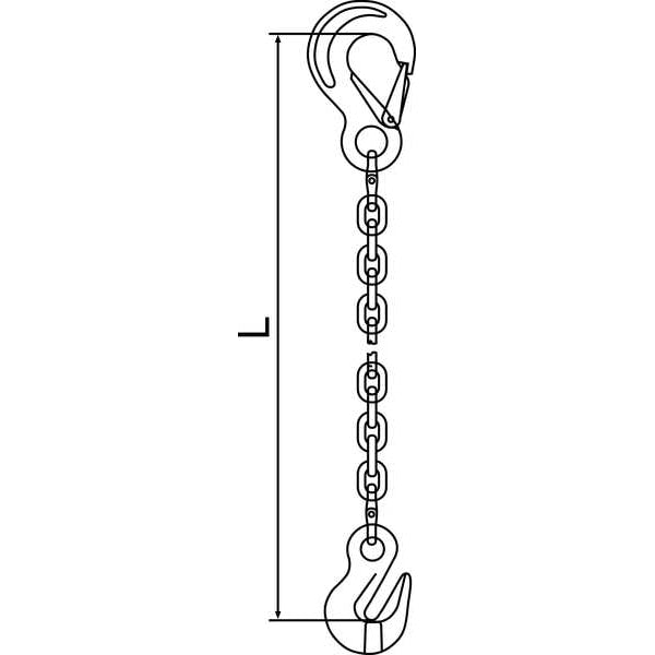 Chain Sling, G120, SSG, Alloy Steel, 5 ft. L