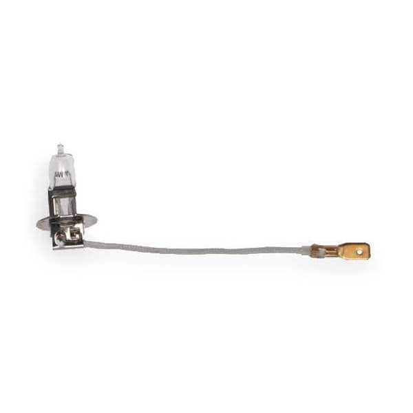 Halogen Bulb, Spade Terminal, 24V, Clear