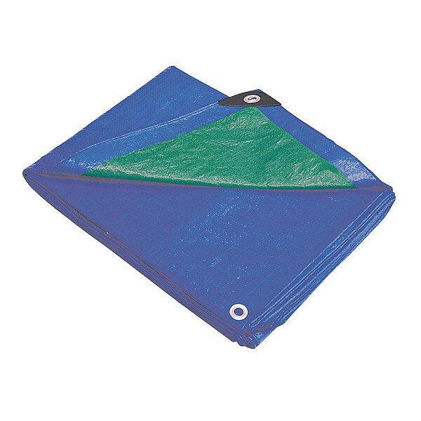 Tarp, 10 x 12 ft, 5.1 mil, Polyethylene, Standard Duty, Blue