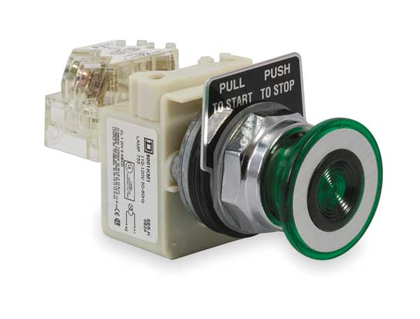 Illuminated Push Button, 30 mm, 1NO/1NC, Green