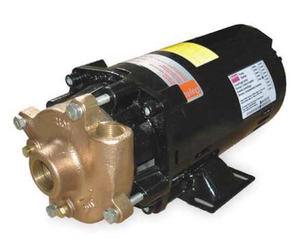 Bronze/Brass 1-1/2 HP Centrifugal Pump 208-230/460V