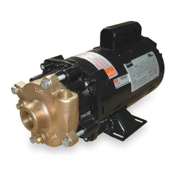 Bronze/Brass 1 HP Centrifugal Pump 115/230V