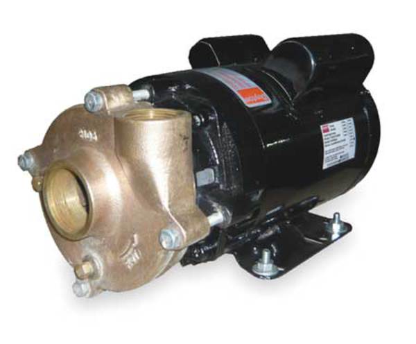 Bronze/Brass 1-1/2 HP Centrifugal Pump 115/208-230V