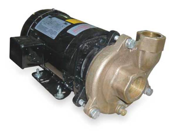 Bronze/Brass 2 HP Centrifugal Pump 208-230/460V