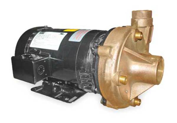 Bronze 2 HP Centrifugal Pump 208-230/460V
