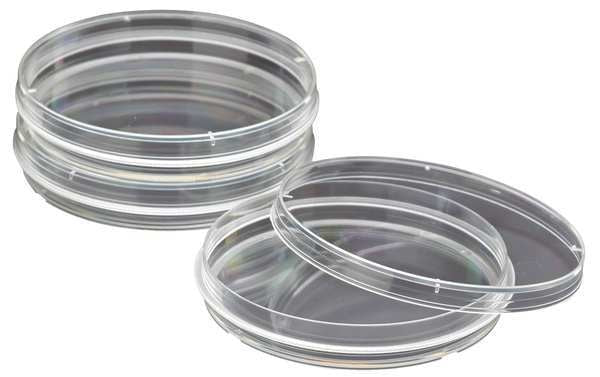 Petri Dish, 150 x 20mm, 25 to 28mL, PK100